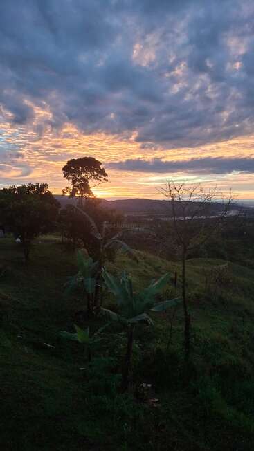 Una espectacular puesta de sol ilumina el cielo con cálidos tonos naranjas y amarillos. Las siluetas de los árboles se recortan sobre una verde ladera, bajo un vasto cielo nublado. Paisaje tranquilo.