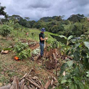 A person wearing a blue hat and dark shirt stands in a lush garden clearing, working the soil. Surrounding are green plants, trees, cloudy sky, and mountains.