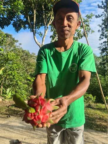 Das Bild zeigt einen Mann mit einer Drachenfrucht in der Hand, der an einem sonnigen Tag im Freien steht, ein grünes T-Shirt und eine Mütze trägt und im Hintergrund Bäume und Büsche sieht.