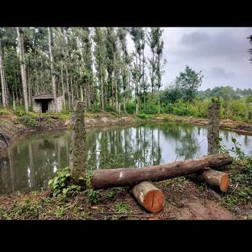 The image depicts a serene pond scene with a log lying on the ground, surrounded by trees and a small building in the background, set against an overcast sky.