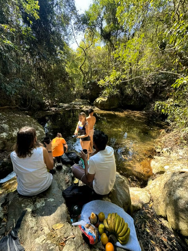 Un groupe profite d'un pique-nique au bord d'un ruisseau dans la forêt, assis sur des rochers avec des fruits et des boissons, se détendant, discutant et admirant l'eau limpide et scintillante sous les rayons du soleil.