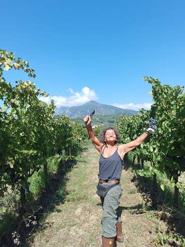Une personne rayonnante se tient dans un vignoble ensoleillé, les bras levés en signe de joie, un sécateur à la main, entourée de vignes luxuriantes, avec les montagnes et le ciel bleu en arrière-plan.