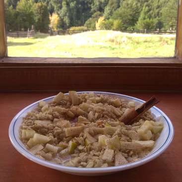 La imagen muestra un tazón de avena con manzanas troceadas y canela en rama sobre una mesa frente a una ventana con vistas a un campo cubierto de hierba y árboles.
