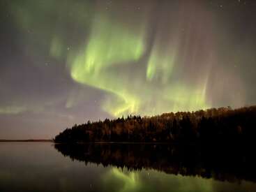 Grüne Nordlichter tanzen über einem dunklen Wald und einem ruhigen See, ihr Spiegelbild schimmert auf dem Wasser unter einem sternenklaren Nachthimmel und schafft eine magische Szene.