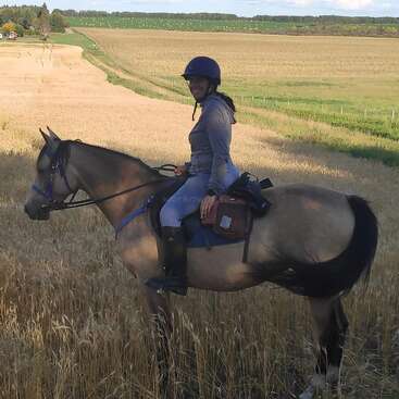 The image depicts a woman riding a horse in a field of wheat, wearing a helmet and boots, with a serene and peaceful atmosphere surrounding her.