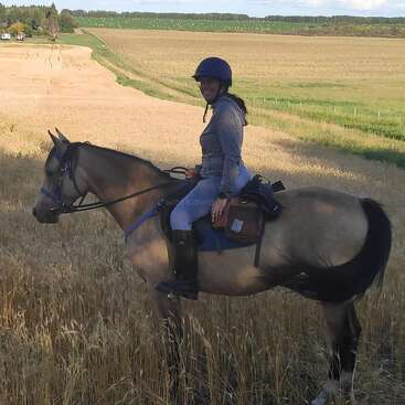 Das Bild zeigt eine Frau, die mit Helm und Stiefeln auf einem Pferd durch ein Weizenfeld reitet, umgeben von einer ruhigen und friedlichen Atmosphäre.