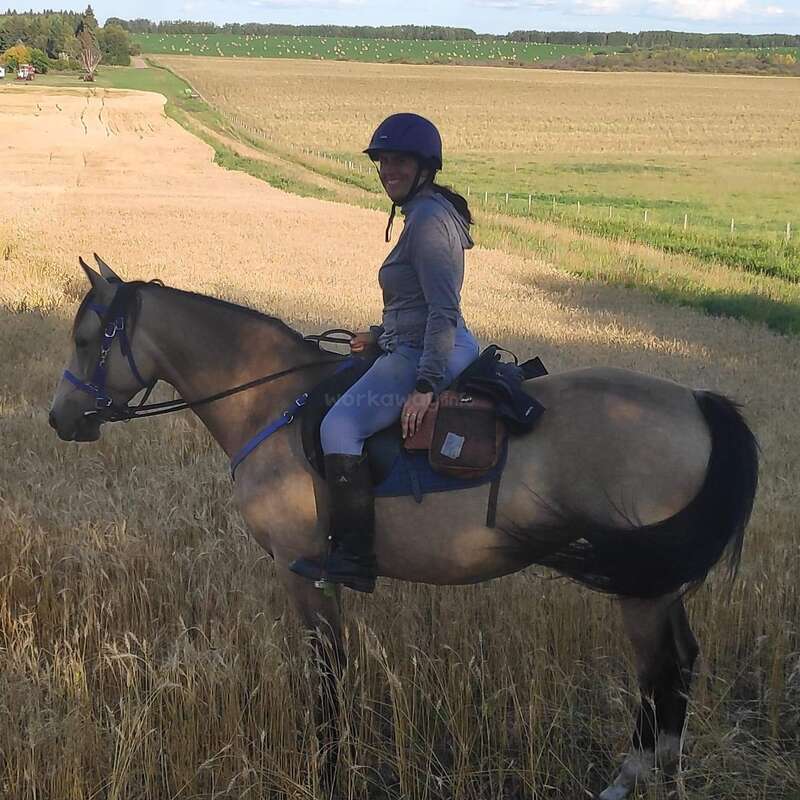 Das Bild zeigt eine Frau, die mit Helm und Stiefeln auf einem Pferd durch ein Weizenfeld reitet, umgeben von einer ruhigen und friedlichen Atmosphäre.