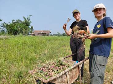 Two people stand in a lush field, smiling as they harvest onions. They hold fresh onions and tools, with a wheelbarrow full of produce nearby.