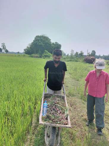 Two people are working in a lush green field. One pushes a wheelbarrow filled with harvested crops and a water bottle. The sky is clear and bright.