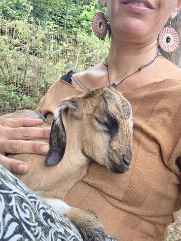 Eine Frau mit großen runden Ohrringen wiegt sanft ein schläfriges Ziegenbaby in ihrem Schoß. Die Szene wirkt friedlich, warm und naturverbunden.