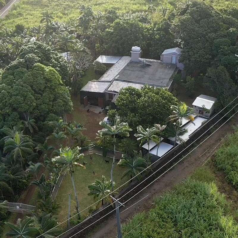 Vista aérea de una casa rodeada de densos árboles verdes y palmeras, con un patio vallado, un camino cercano, cables eléctricos y una exuberante vegetación a su alrededor.