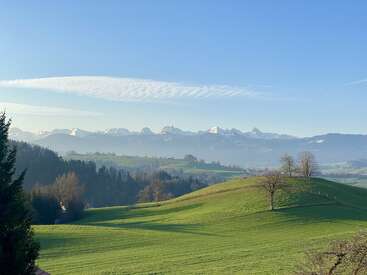 Rolling green hills and scattered trees stretch into the distance, with snow-capped mountains under a clear blue sky and wispy white clouds overhead. Serene landscape.