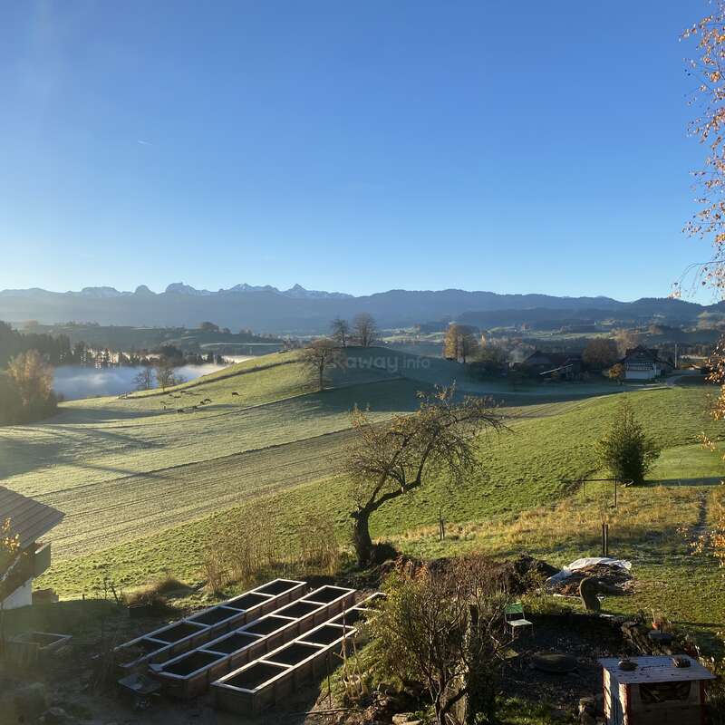 A beautiful countryside landscape with rolling green hills, scattered trees, a clear blue sky, distant mountains, and a vegetable garden in the foreground, bathed in sunlight.