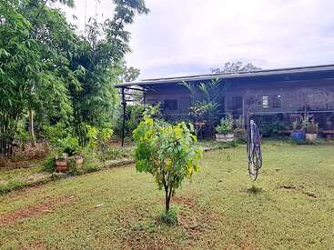 La imagen representa un patio sereno con un pequeño árbol, hierba frondosa y una manguera, con el telón de fondo de una casa con porche cubierto y cielo nublado.