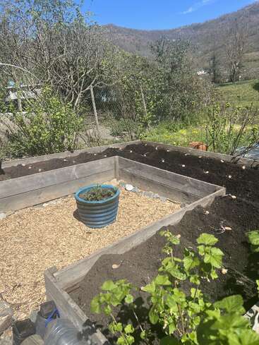 Raised garden beds filled with soil and newly planted seeds, a blue pot with a small plant, surrounded by trees, hills, and a sunny blue sky.
