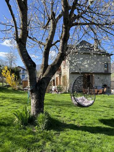 A blossoming tree stands in a sunny, green backyard. A cozy swing chair hangs from its branch. A charming house and outdoor furniture complete the serene scene.