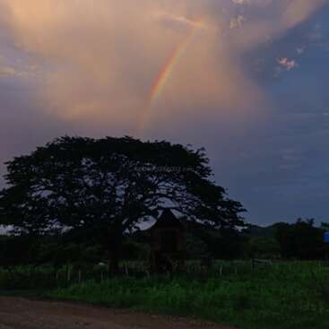 Das Bild zeigt eine ruhige Landschaft mit einem Baum, einem kleinen Gebäude und einem leuchtenden Regenbogen vor einem wolkenverhangenen Himmel, mit einer unbefestigten Straße im Vordergrund.
