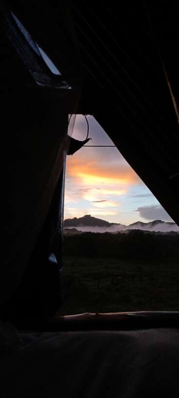 L'image représente une scène sereine d'une tente plantée dans un champ herbeux, avec un arbre en arrière-plan et un ciel clair au-dessus, évoquant un sentiment de tranquillité et d'aventure.