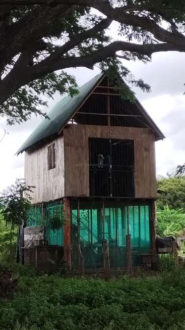 Une maison en bois de deux étages se dresse sur des pilotis, partiellement entourée d'un grillage vert. Entourée d'arbres et de végétation, elle semble rustique et située dans un cadre rural.