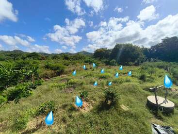 Un paysage verdoyant sous un ciel bleu vif avec des nuages épars. Des icônes de gouttelettes d'eau sont placées autour du champ, indiquant les zones qui ont besoin d'être irriguées ou arrosées.