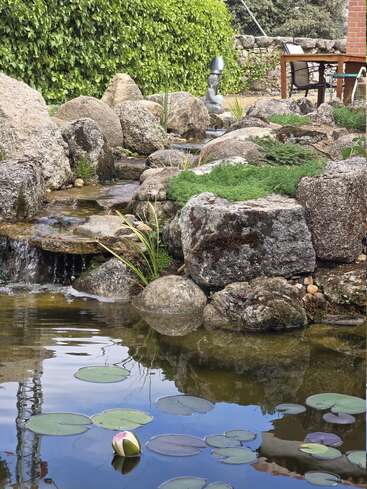 A serene garden pond with water lilies, surrounded by large rocks, moss, lush greenery, and a small waterfall, with a patio table and chairs nearby.