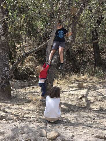 Three children play in a wooded area. One climbs a tree, another tries to assist, while the third child sits crouched on the sandy ground, observing.