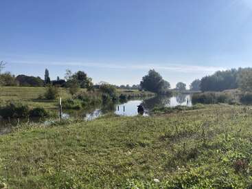 Una apacible escena fluvial con cielo azul despejado, exuberante hierba verde y árboles que se reflejan en el agua. La luz del sol realza el tranquilo ambiente rural.