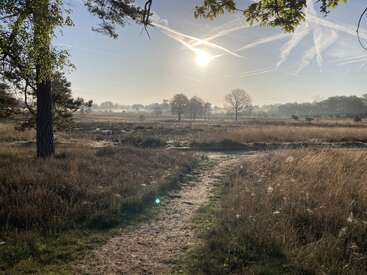 Un camino iluminado por el sol serpentea por un campo cubierto de hierba. Los árboles salpican el horizonte bajo un cielo azul con estelas de condensación. La luz de la mañana crea un ambiente tranquilo y sereno.