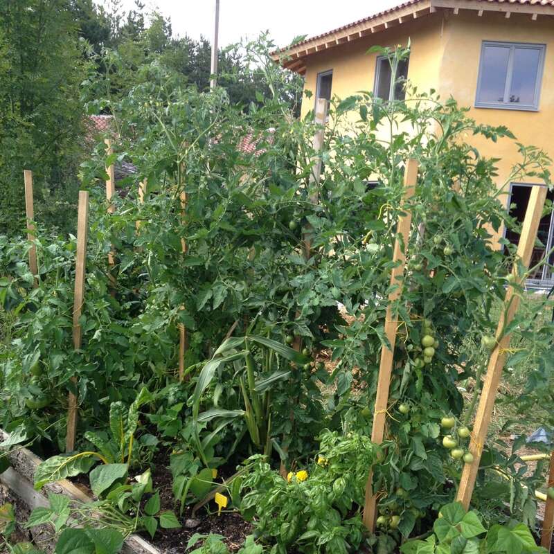 Mithilfe bei EcohouseBau, Gartenarbeit, Babysitting und im Alltag