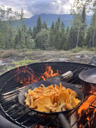 A cast iron pan of chanterelle mushrooms is being cooked over an open fire outdoors, surrounded by forest and mountains under a partly cloudy sky.