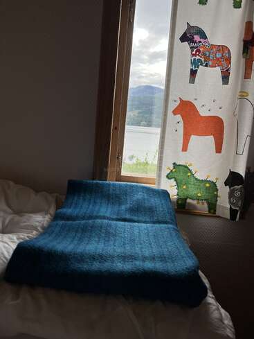 A cozy bed with a blue blanket is beside a window. Outside, mountains and a lake are visible. A curtain with colorful animal prints hangs nearby.