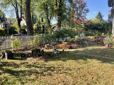 Une scène de jardin ensoleillée avec des arbres, une clôture blanche, des plantes en pot, des outils de jardinage, un bain d'oiseaux, un tuyau d'arrosage vert et des maisons voisines en arrière-plan.