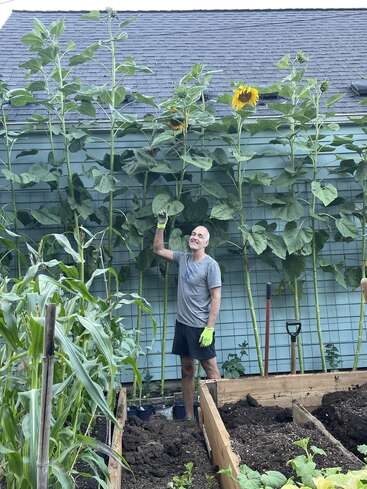 Un homme se tient debout dans un jardin haut en couleur ; il sourit et montre du doigt des tournesols exceptionnellement grands qui le dépassent de bien haut, entouré de plates-bandes surélevées, de plants de maïs et d'outils de jardinage.
