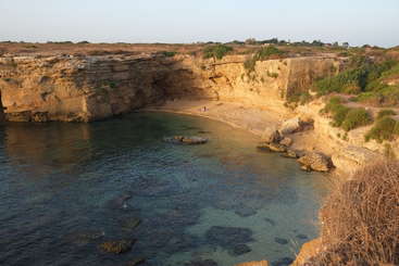 A imagem retrata uma cena costeira serena, apresentando um corpo de água tranquilo com uma praia de areia e um pequeno penhasco, cercado por uma vegetação exuberante e um céu azul claro.