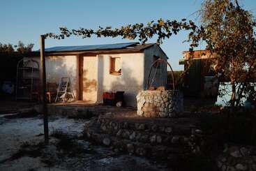 Uma pequena casa rústica à luz do sol, com um poço de pedra na frente, cercada por plantas, móveis externos, uma escada e um paisagismo simples e natural. Atmosfera tranquila.