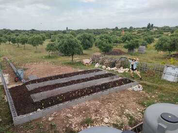 Esta imagem mostra um canteiro de jardim elevado com plantas jovens, cercado por uma paisagem rural com árvores. Uma pessoa posa alegremente nas proximidades, usando um chapéu.