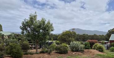 Esta imagem mostra um jardim verde e exuberante com várias árvores e arbustos sob um céu parcialmente nublado. As montanhas são visíveis ao fundo, criando uma cena tranquila.
