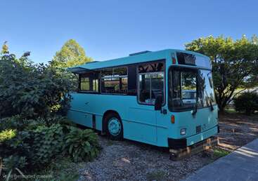 Um ônibus azul-claro está estacionado em uma superfície de cascalho, cercado por uma vegetação exuberante, árvores e arbustos, sob um céu azul e limpo. Parece estar parado.