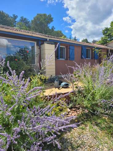 A charming house with blue shutters sits behind a lush garden of purple flowers and greenery. Watering cans rest on the wooden porch under a bright sky.
