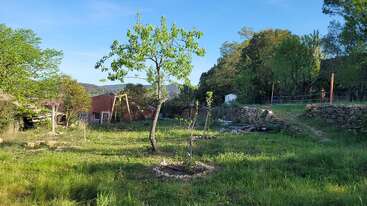 A peaceful rural garden with green grass, small trees, and a few rustic buildings. Sunlight filters through, highlighting natural beauty and serene countryside surroundings.