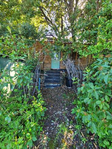 Uma pequena cabana de madeira está aninhada entre uma densa folhagem verde. A luz do sol penetra por entre as árvores. Um caminho coberto de vegetação e galhos leva a uma porta verde parcialmente escondida.