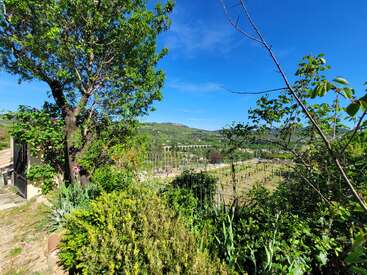 Uma paisagem verdejante com árvores, arbustos e um vinhedo. Ao fundo, um antigo aqueduto de pedra se estende por colinas onduladas sob um céu azul brilhante.