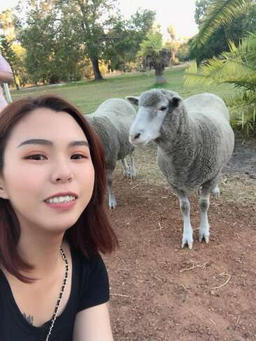 Eine junge Frau macht ein Selfie im Freien und lächelt dabei vor zwei Schafen. Im Hintergrund sind grüne Bäume, Pflanzen und eine sonnige, natürliche Umgebung zu sehen.