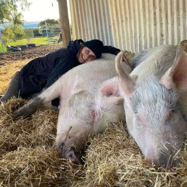 Eine Person mit schwarzer Mütze umarmt zwei große, schlafende Schweine auf Stroh in einem Stall und schafft so einen warmen, friedlichen und liebevollen Moment mit den Tieren.