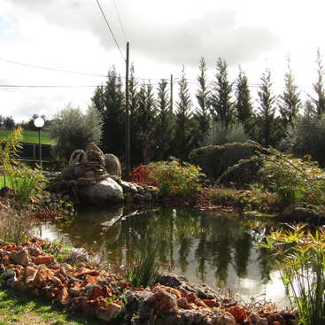 The image depicts a serene pond surrounded by lush greenery and rocks, with a red bridge in the background, set against a cloudy sky.