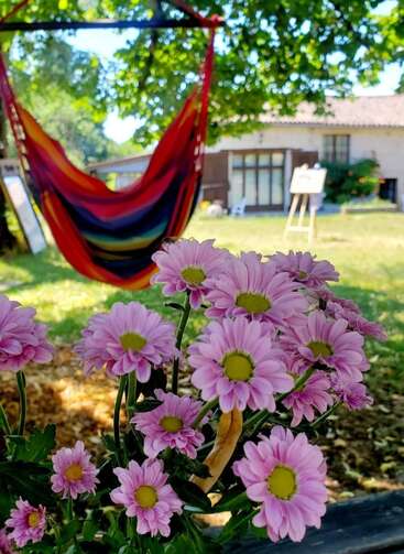 Gros plan sur des marguerites roses dans un jardin ensoleillé. Un hamac coloré est suspendu à un arbre, une maison confortable se trouve à l'arrière-plan. Atmosphère paisible.