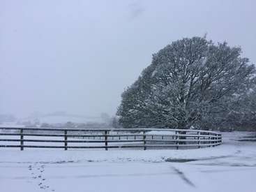 L'image représente une scène hivernale sereine avec un champ couvert de neige, une clôture en bois et un grand arbre, le tout sur fond de ciel gris.