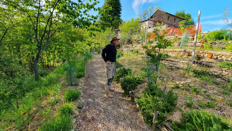 The image depicts a man standing on a gravel path in a garden, surrounded by trees and plants, with a house in the background and a blue sky above.