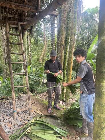 Zwei Männer arbeiten gemeinsam in einem üppigen Wald und bereiten Palmblätter in der Nähe einer Holzleiter und einer rustikalen Konstruktion vor, wobei sich traditionelle Handwerkskunst mit der Schönheit der umgebenden Natur verbindet.