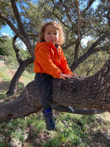 Un niño de pelo rizado está sentado en la rama de un árbol, con una chaqueta naranja, pantalones negros y botas, rodeado de árboles y hierba.